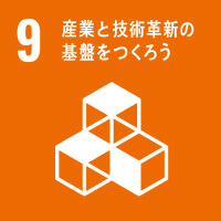 SDG's9