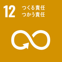 SDG's12