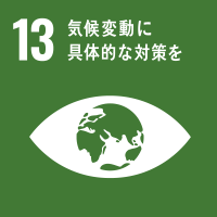 SDG's13