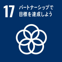 SDG's17